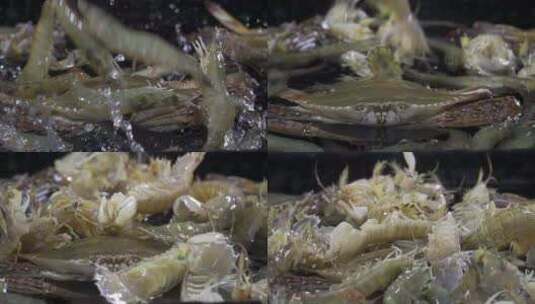 对虾皮皮虾梭子蟹高清在线视频素材下载