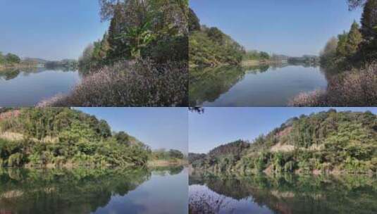 冬天郴州西河风光带河流河水花草高清在线视频素材下载