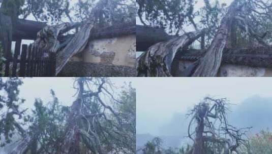 丽水景宁云中大漈时思寺航拍高清在线视频素材下载