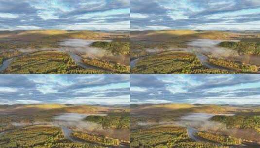 航拍金色森林蓝色河流晨雾迷漫高清在线视频素材下载