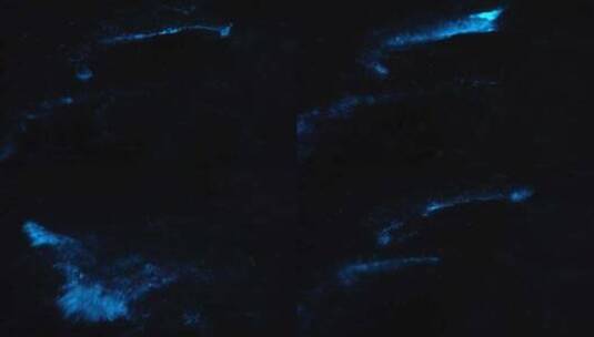 海萤 浮游 荧光海高清在线视频素材下载