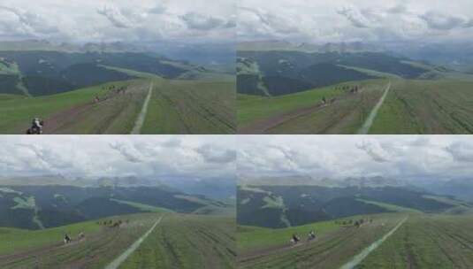 新疆伊犁喀拉峻草原奔腾的马高清在线视频素材下载