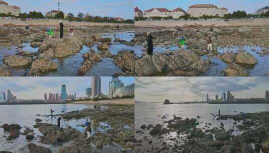 海岸线海边海鸥高清在线视频素材下载