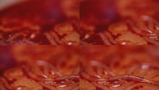 方便食品酸辣粉螺蛳粉辣椒油高清在线视频素材下载