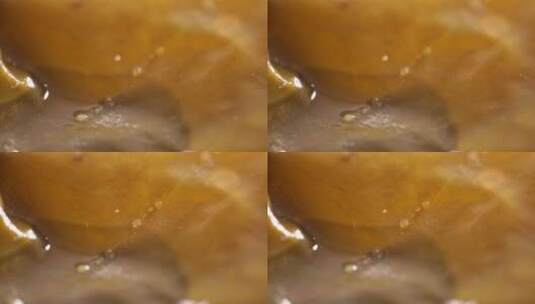 清水浸泡补碘海带 (15)高清在线视频素材下载