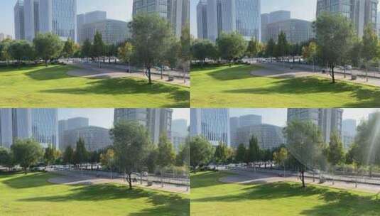 济南高新区城市绿地，高楼大厦中间的小草原高清在线视频素材下载