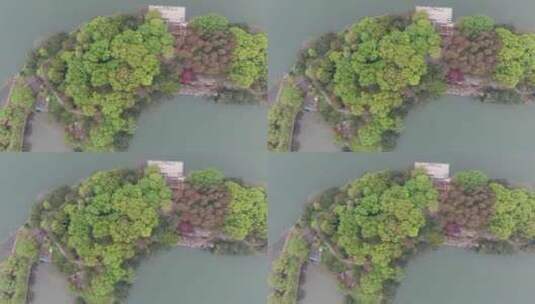 湖南长沙烈士公园航拍高清在线视频素材下载
