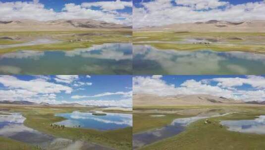 航拍西藏219国道旁草原湿地上马儿奔跑高清在线视频素材下载