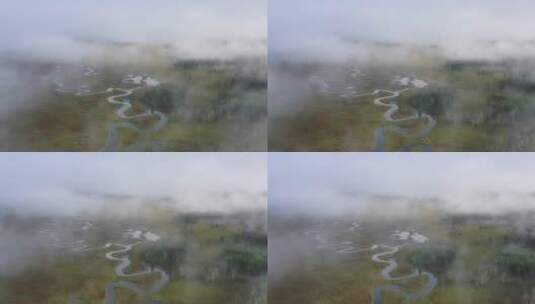 霍日高鲁湿地 高山湿地高清在线视频素材下载