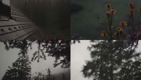 阴天大雨拍打房顶森林松枝雨滴高清在线视频素材下载
