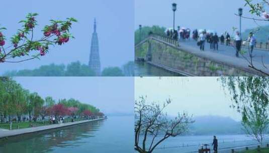 杭州西湖春天风景视频素材高清在线视频素材下载