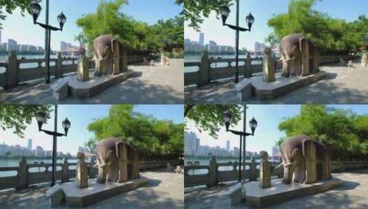 柳江边大象雕塑高清在线视频素材下载