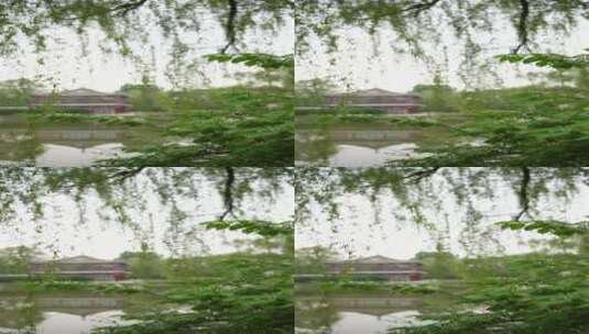 北京立夏节气素材_08高清在线视频素材下载