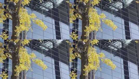 玻璃幕墙现代城市建筑高清在线视频素材下载