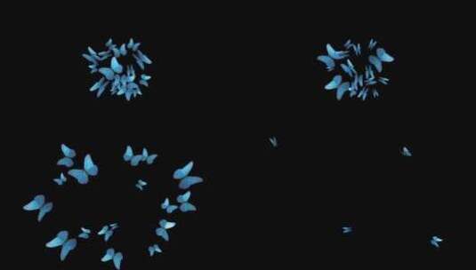 带通道飞舞的蝴蝶高清在线视频素材下载