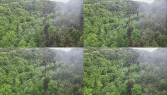 无人机鸟瞰山脉森林景观高清在线视频素材下载