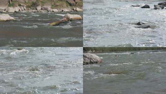 奔涌的河水  湍急水流   河中翻滚浪花 合集高清在线视频素材下载