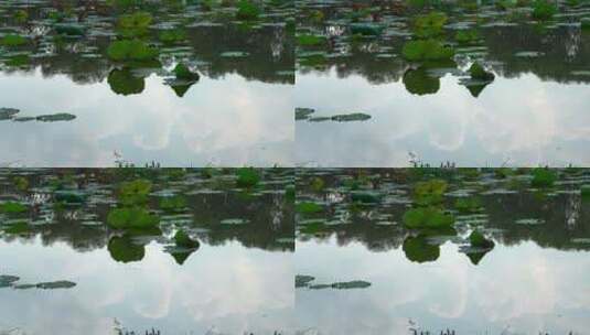 三潭印月 杭州西湖 诗画江南 水墨山水 建筑高清在线视频素材下载