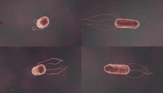 医学微观生物病毒细胞形态医疗三维动画展示高清在线视频素材下载