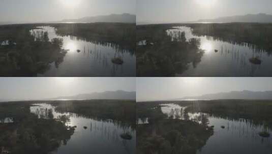 北京怀柔野鸭湖枯木高清在线视频素材下载