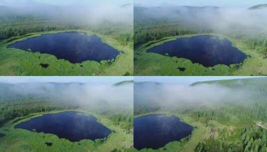 航拍森林湿地高清在线视频素材下载