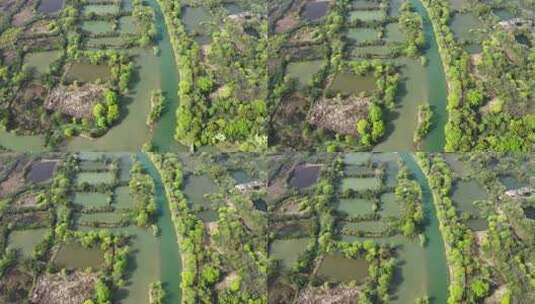 4K航拍杭州5A级风景区西溪湿地高清在线视频素材下载
