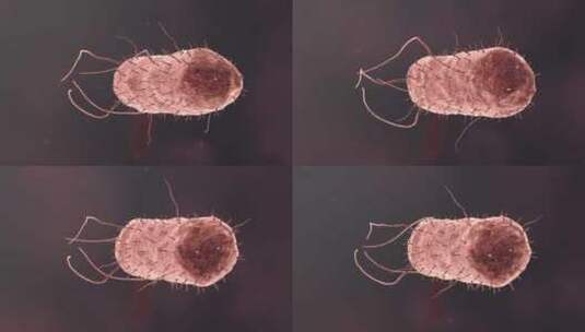 医学细菌流行传染病毒医疗微观三维动画视频高清在线视频素材下载