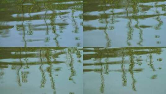 池塘水面波纹高清在线视频素材下载