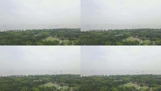上海滨江森林公园4K原素材高清在线视频素材下载