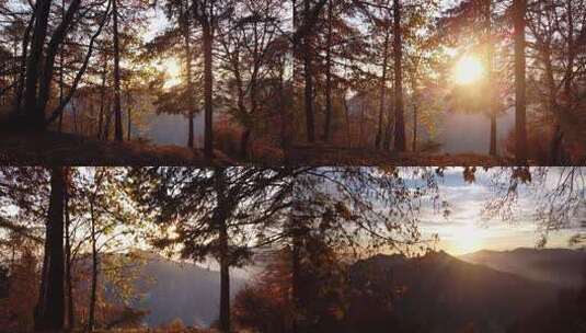 日落时的秋林，欧洲阿尔卑斯山，莱科，意大利高清在线视频素材下载