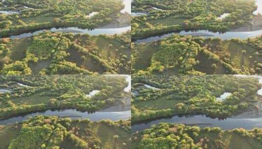 航拍秋天森林河风景高清在线视频素材下载