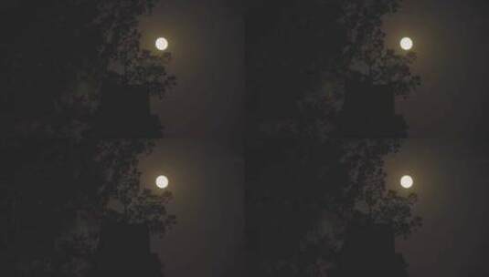 实拍十五的月亮-夜晚古建筑-月圆之夜高清在线视频素材下载