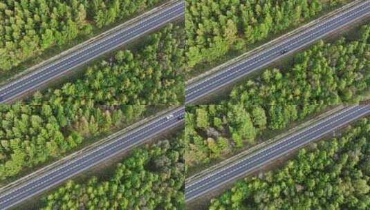 森林中的道路航拍高清在线视频素材下载