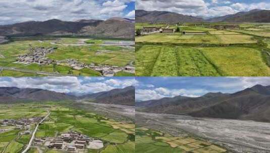 航拍西藏日喀则萨拉县青稞田高清在线视频素材下载