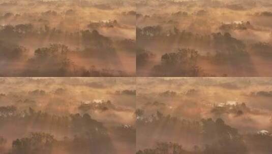 杭州西溪湿地初冬晨雾云雾缭绕 稀缺空境高清在线视频素材下载