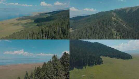 【合集】新疆森林湖泊大自然生态高清在线视频素材下载
