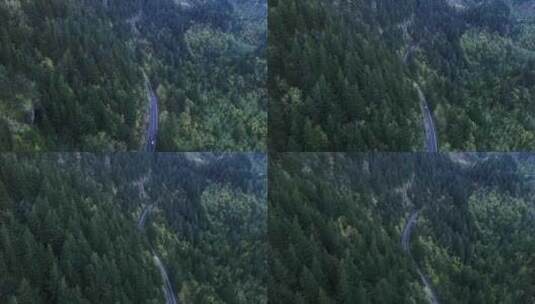 山脉 森林 道路 树木高清在线视频素材下载