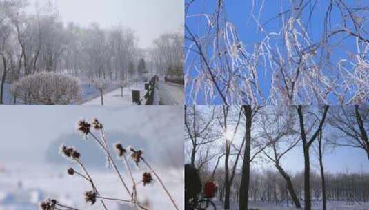 北方冬天唯美冬季自然景色雾凇冰花树挂高清在线视频素材下载
