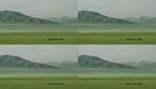 美丽的绿色大草原高清在线视频素材下载