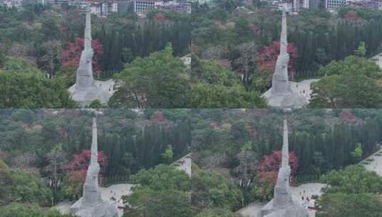 中国广东省广州市越秀区烈士陵园木棉花高清在线视频素材下载