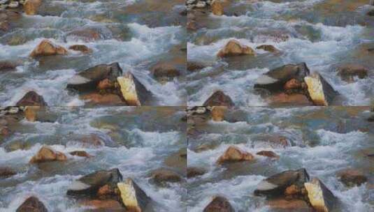 溪流水流清澈高清在线视频素材下载