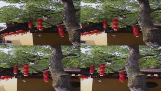 杭州上天竺法喜寺竖版高清在线视频素材下载