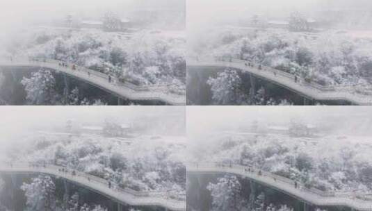成都龙泉山森林公园下雪高清在线视频素材下载