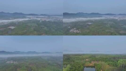 海南白沙茶园清晨平流雾航拍高清在线视频素材下载