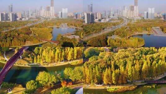 4K多镜 南京河西城市生态公园 都市现代高清在线视频素材下载