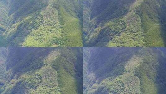 航拍武夷山黄岗山最高峰峡谷草甸森林云海高清在线视频素材下载