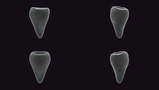 牙齿全息图高清在线视频素材下载