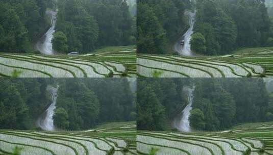 汽车行驶在梯田下山林间的道路上高清在线视频素材下载