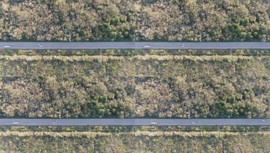 墨西哥墨西哥城道路俯视航拍高清在线视频素材下载