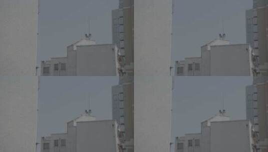 阿莱空镜头实拍——城市单元楼高清在线视频素材下载